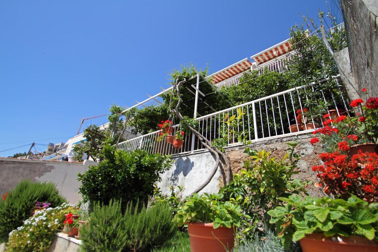 Apartments Ante Dubrovník Exteriér fotografie